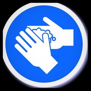 items are properly sanitized/washed before ship